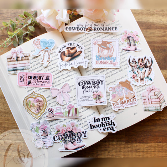 Cowboy Romance Collection 2