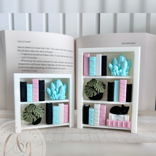 Bookshelf Fidget Clicker - Pastel